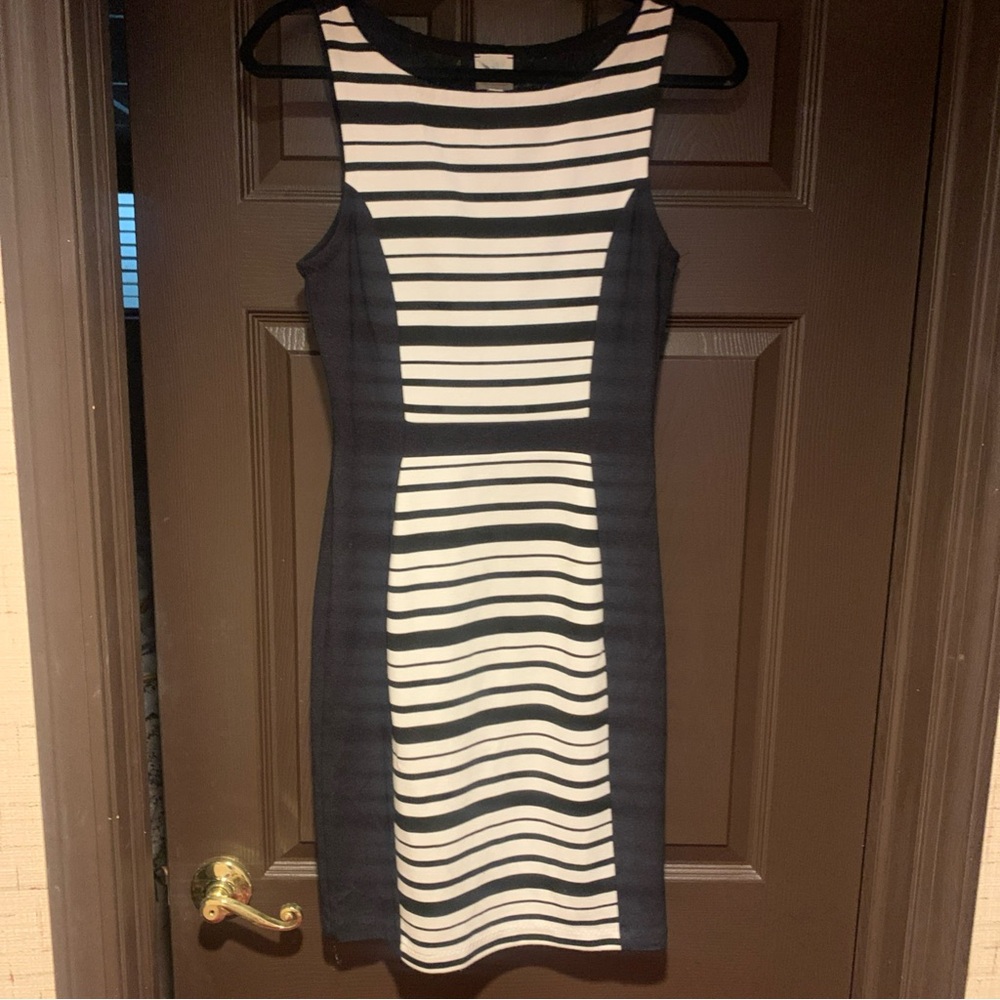 Weston Wear Black and White Striped Mini Dress